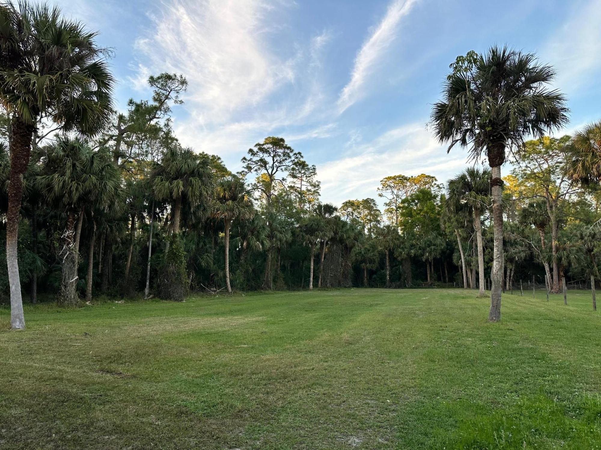 Vacation Pool Home In The Woods. North North Naples Exteriör bild